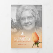 Begrafenisprogramma volgorde van dienst oranje roo drieluik programma (Cover)