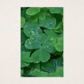 Begrafenisverlies Shamrock Gebed Sympathie Kaarten Visitekaartje (Voorkant)