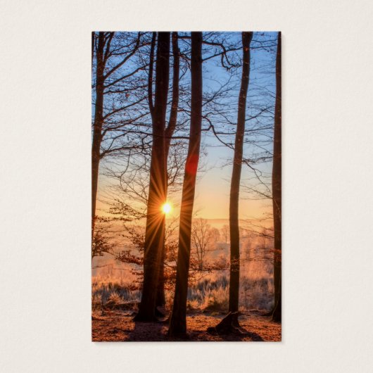 Begrafenisverlies Zonnen Stralen Gebed Sympathie K Visitekaartjes (Voorkant)