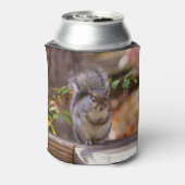 Begrepen eekhoorn blikjeskoeler (Blikje Achterkant)