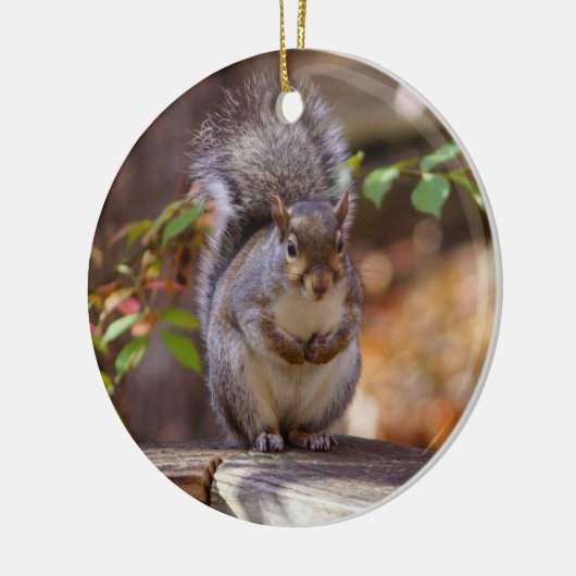 Begrepen eekhoorn keramisch ornament (Links)