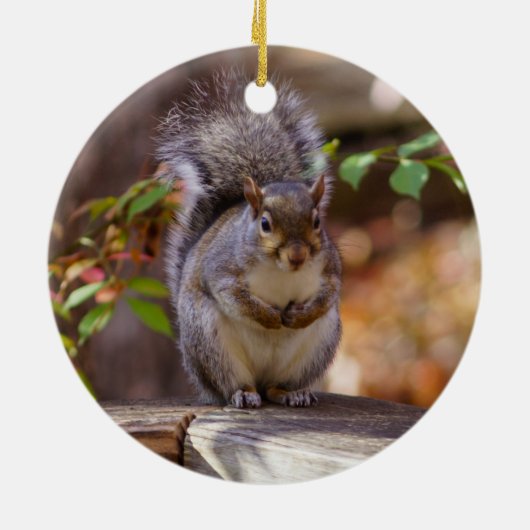 Begrepen eekhoorn keramisch ornament (Achterkant)