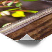 Begrepen eekhoorn poster (Hoek)