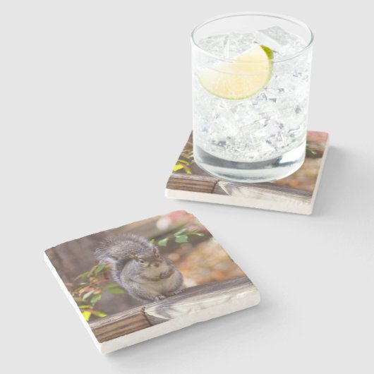 Begrepen eekhoorn stenen onderzetter (Zijkant)