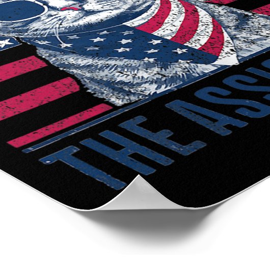 Begrijp de ontsteking Kamala Harris kinderloze kat Poster (Hoek)