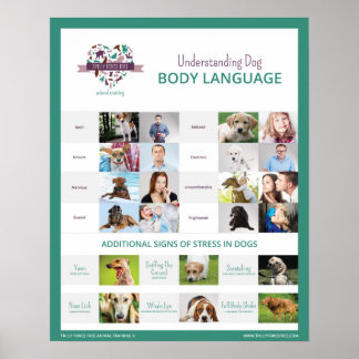 Begrijpend Dog Body Language 16 x 20 Poster