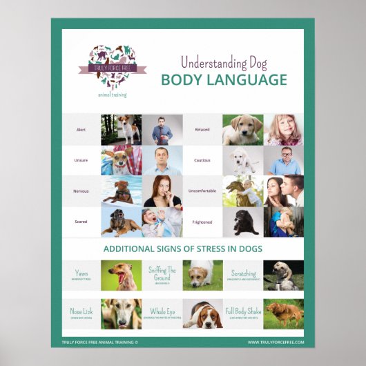 Begrijpend Dog Body Language 16 x 20 Poster (Voorkant)