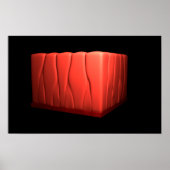 Begrip pseudostratificeerd Columnar epithelium Poster (Voorkant)