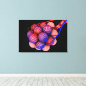 Begripelijk Afbeelding van Alveoli 1 Canvas Afdruk (Insitu (Houten vloer))