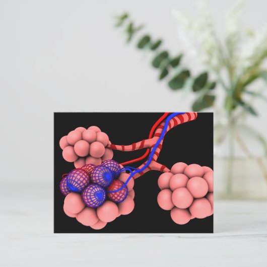 Begripelijk Afbeelding van Alveoli 2 Briefkaart (Staand voorkant)
