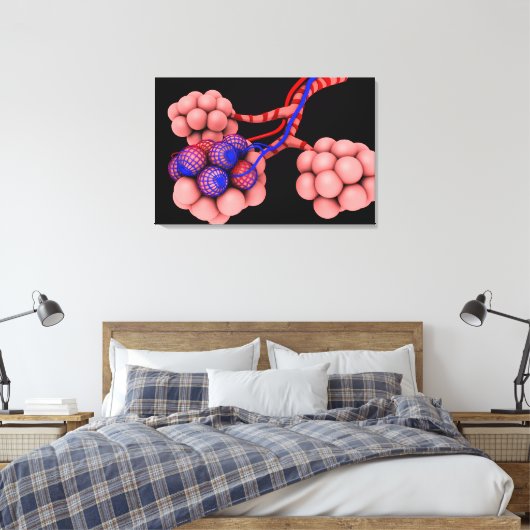 Begripelijk Afbeelding van Alveoli 2 Canvas Afdruk (Insitu (Slaapkamer))