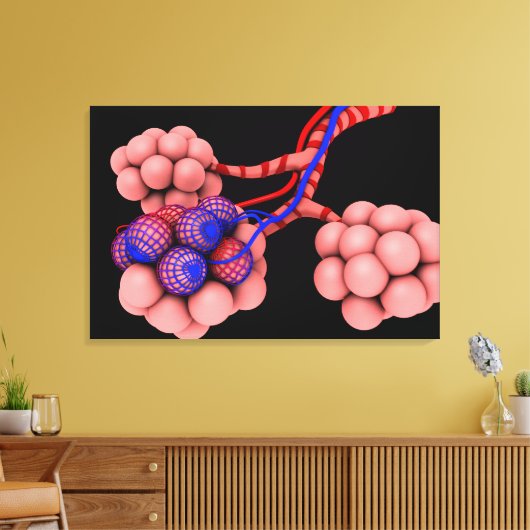 Begripelijk Afbeelding van Alveoli 2 Canvas Afdruk (Insitu (Woonkamer))