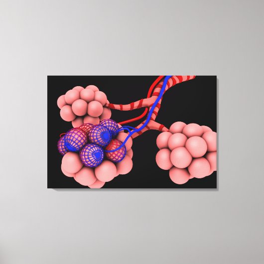 Begripelijk Afbeelding van Alveoli 2 Canvas Afdruk (Voorkant)