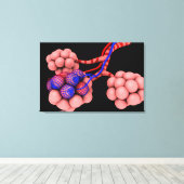 Begripelijk Afbeelding van Alveoli 2 Canvas Afdruk (Insitu (Houten vloer))