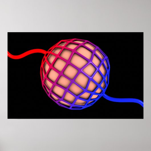 Begripelijk Afbeelding van Alveolus Poster (Voorkant)