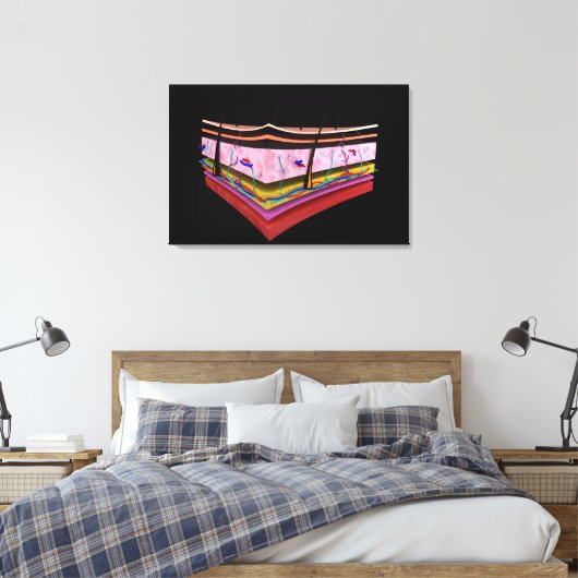 Begripelijk Afbeelding van de lagen van de menseli Canvas Afdruk (Insitu (Slaapkamer))