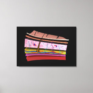Begripelijk Afbeelding van de lagen van de menseli Canvas Afdruk