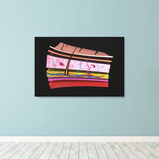 Begripelijk Afbeelding van de lagen van de menseli Canvas Afdruk (Insitu (Houten vloer))