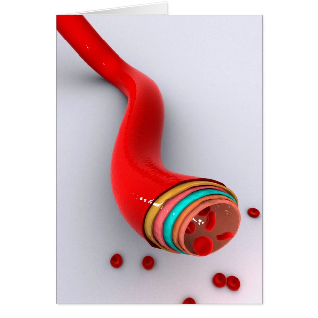 Begripelijk Afbeelding van een bloedvat (Voorkant)