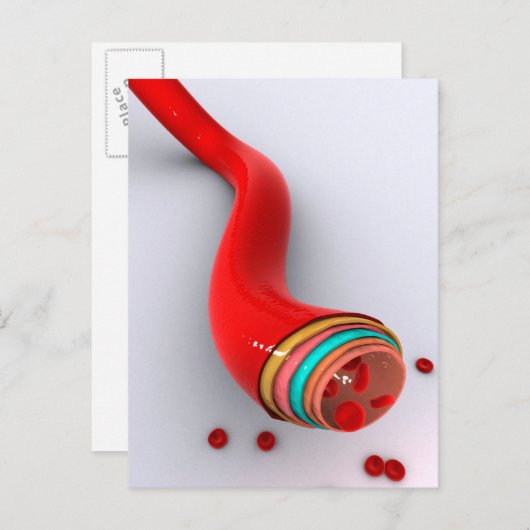 Begripelijk Afbeelding van een bloedvat Briefkaart (Voorkant / Achterkant)