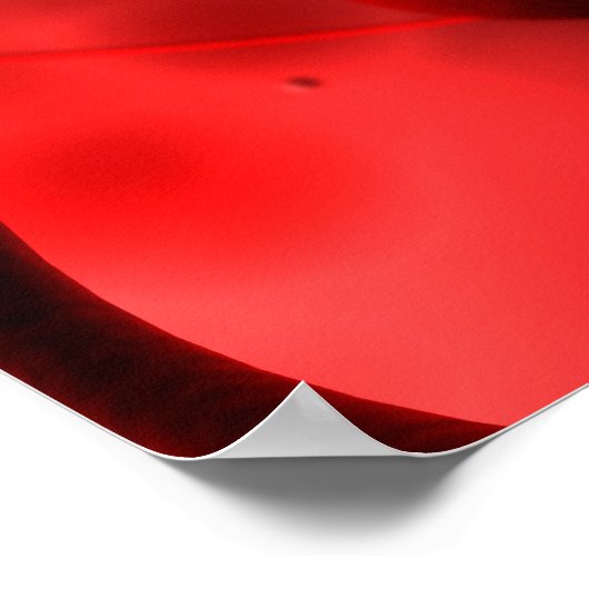 Begripelijk Afbeelding van een bloedvat Poster (Hoek)