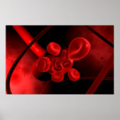 Begripelijk Afbeelding van een bloedvat Poster (Voorkant)