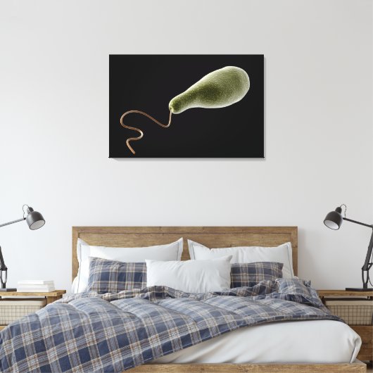 Begripelijk Afbeelding van Euglena 2 Canvas Afdruk (Insitu (Slaapkamer))