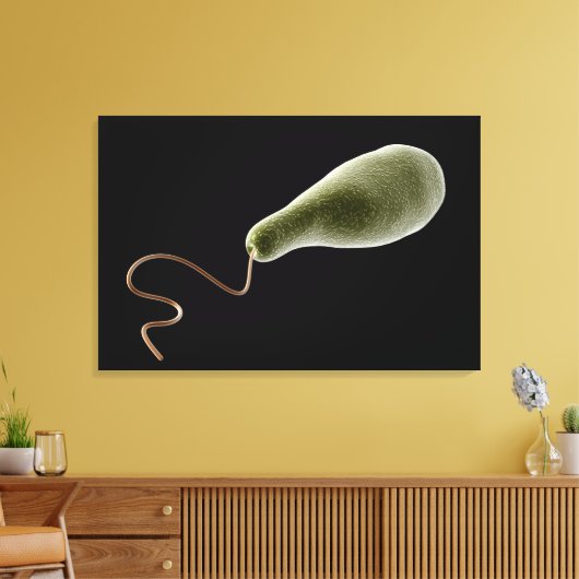 Begripelijk Afbeelding van Euglena 2 Canvas Afdruk (Insitu (Woonkamer))