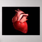 Begripelijk Afbeelding van het menselijk hart 1 Poster (Voorkant)