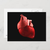 Begripelijk Afbeelding van het menselijk hart 2 Briefkaart (Voorkant / Achterkant)