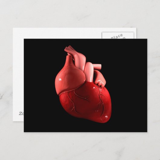 Begripelijk Afbeelding van het menselijk hart 2 Briefkaart (Voorkant / Achterkant)