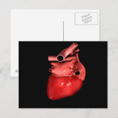 Begripelijk Afbeelding van het menselijk hart 3 Briefkaart (Voorkant / Achterkant)