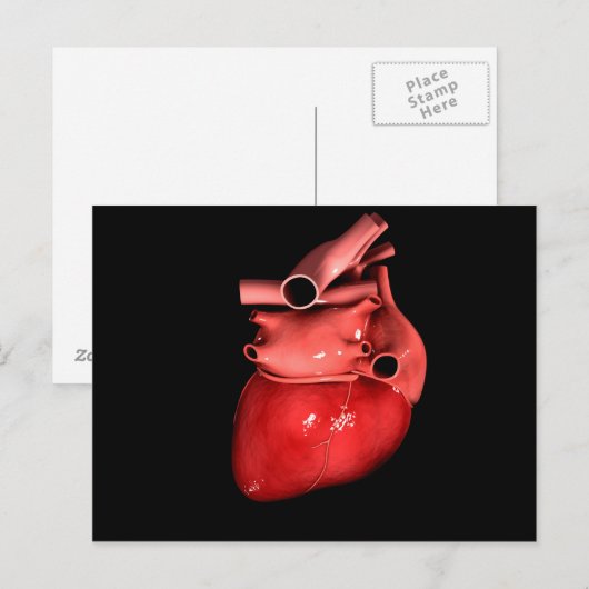 Begripelijk Afbeelding van het menselijk hart 3 Briefkaart (Voorkant / Achterkant)
