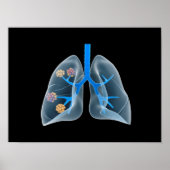 Begripelijk Afbeelding van het menselijk hart 4 Poster (Voorkant)