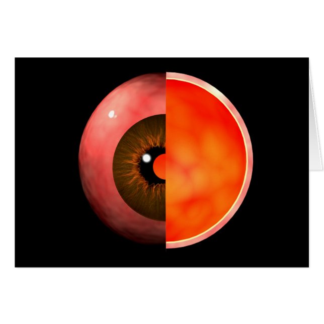 Begripelijk Afbeelding van het menselijke oog, doo (Voorkant Horizontaal)