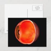 Begripelijk Afbeelding van het menselijke oog, doo Briefkaart (Voorkant / Achterkant)