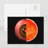 Begripelijk Afbeelding van het menselijke oog, doo Briefkaart (Voorkant / Achterkant)