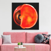 Begripelijk Afbeelding van het menselijke oog, doo Canvas Afdruk (Insitu (Woonkamer))