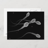 Begripelijk Afbeelding van mannelijke spier Briefkaart (Voorkant / Achterkant)