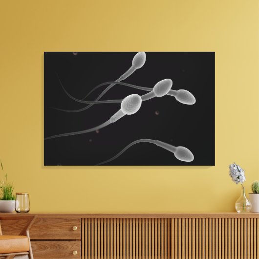 Begripelijk Afbeelding van mannelijke spier Canvas Afdruk (Insitu (Woonkamer))