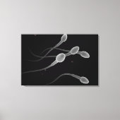 Begripelijk Afbeelding van mannelijke spier Canvas Afdruk (Voorkant)