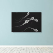 Begripelijk Afbeelding van mannelijke spier Canvas Afdruk (Insitu (Houten vloer))