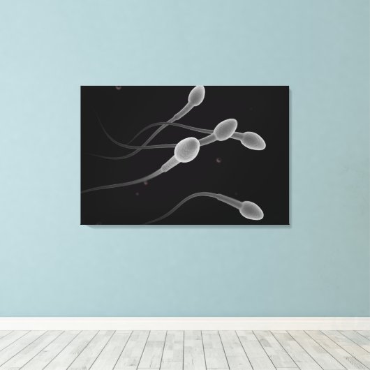 Begripelijk Afbeelding van mannelijke spier Canvas Afdruk (Insitu (Houten vloer))