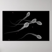 Begripelijk Afbeelding van mannelijke spier Poster (Voorkant)