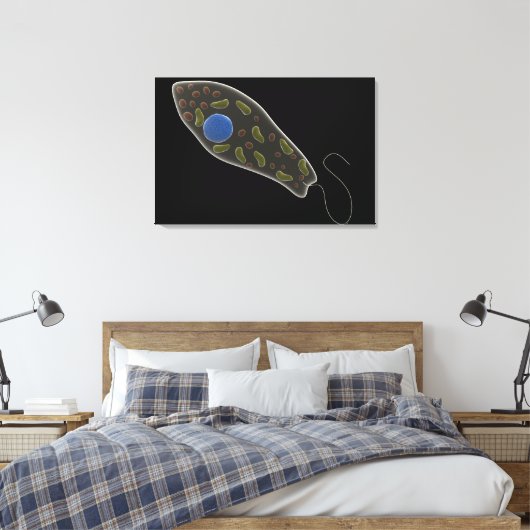Begripelijk Afbeelding van uglena 1 Canvas Afdruk (Insitu (Slaapkamer))