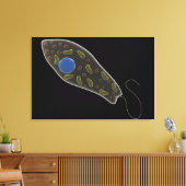 Begripelijk Afbeelding van uglena 1 Canvas Afdruk (Insitu (Woonkamer))