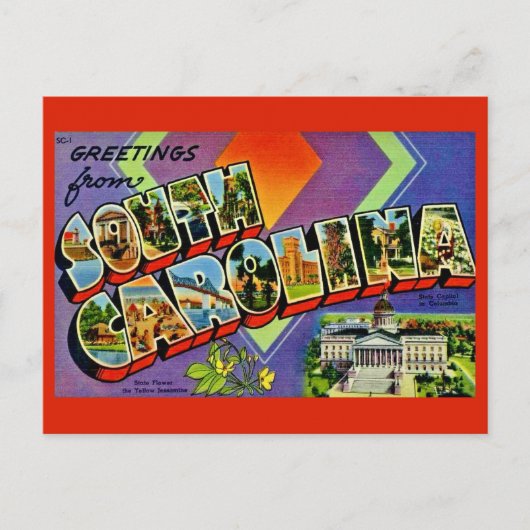 Begroetingskaart van South Carolina Briefkaart (Voorkant)