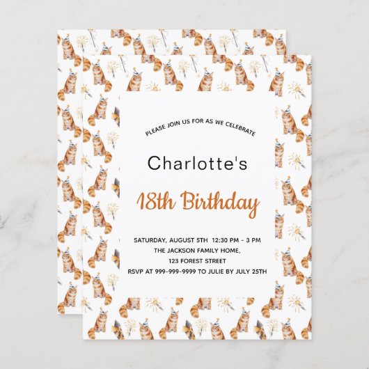 Begroting 18e verjaardagsfeestje katten witgoden (Voorkant / Achterkant)