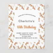 Begroting 18e verjaardagsfeestje katten witgoden (Voorkant)