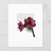 Begroting 40e verjaardag van de kerstfeestdag Uitn (Achterkant)